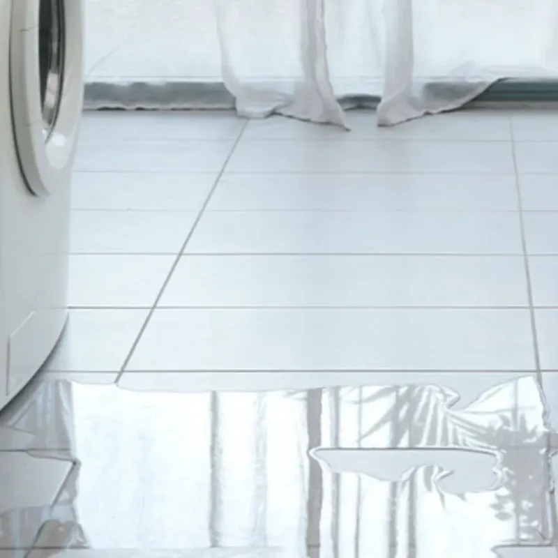 Appliance Leak Cleanup in Salmon, ID