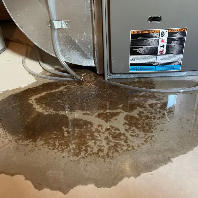 Pipe Burst and Leak Restoration in Salmon, ID